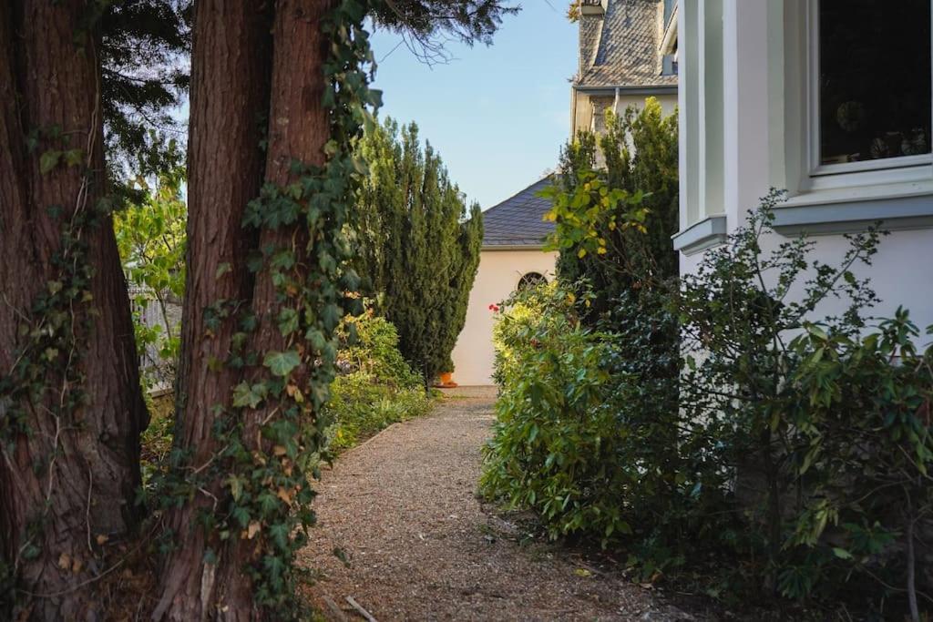 Villa Rosa - Sky Detmold Eksteriør bilde