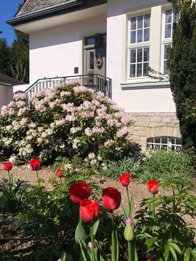 Villa Rosa - Sky Detmold Eksteriør bilde